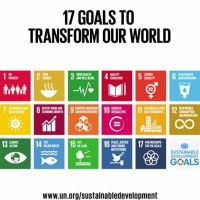 Harrison 弘毅 Tsou 鄒（邹）