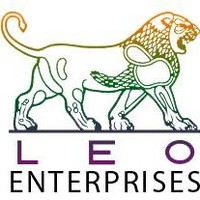 Leo enterprises leo