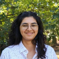 Noor Almayahi