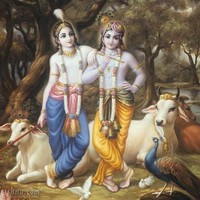 Vijay Tomar
