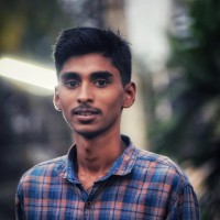 Nitheesh N P