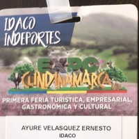 Ernesto Ayure Velasquez