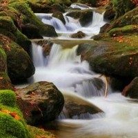 Adrian Kupferschmied