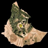 Nestanet Abere