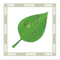 Green Leaf Conservation and Mitigation Services