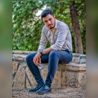 Seyed Mojtaba Mortazavi