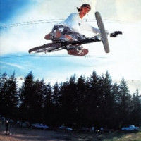 Trevor Knesal
