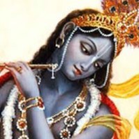 ajay bajaj
