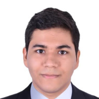Luis David Ordosgoitia Mora