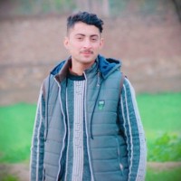 Ansar Ali