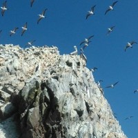 Margith Delaney Carranza Simeon