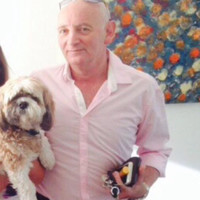 Stephen Maizels