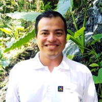 Eddie Alejandro Manzanero Vázquez