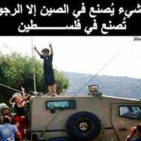 Emad Aldin Mohammed