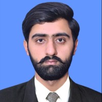 Mubashir Hassnain
