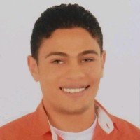 Hossam Sayed
