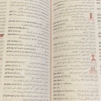 Alanoud Alaqeel