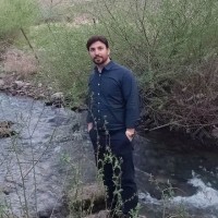 وحید قیاسی