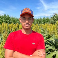 Matheus Alves