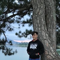 Dang Vu