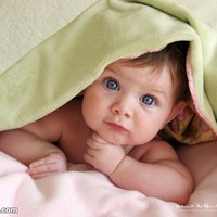 khalid mansy
