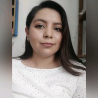Laura Karina Gonzalez Figueroa