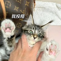 黄泽斌