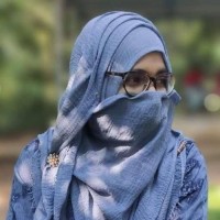 Web Developer