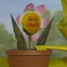 pea bee