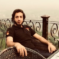 Muhammad Hamza Aleem