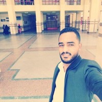 Walid Mahdi