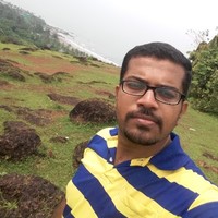 praveen s