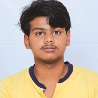 Abishai David
