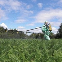 Sebastian Omylanowski