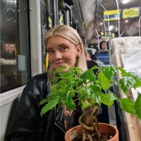 Therese Larsson
