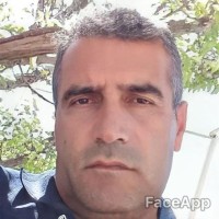 Mohsen Safikhani