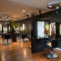 PURA VIDA SALON