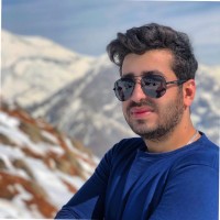 Saeid Gholami