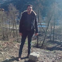 hiva hashemi