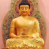 陈泽腾