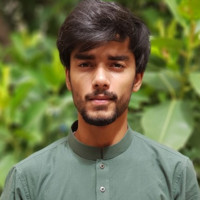 Syed Muhammad Shayan Anis