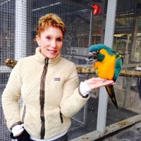 Phyllis Chickeetaylor