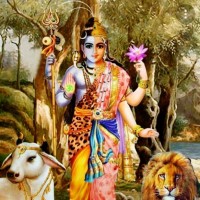 Rohit Kingson
