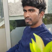 Vinith P