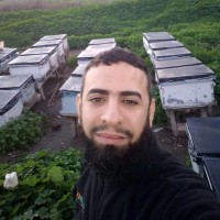 Kamel Hamed