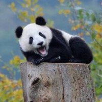 包佳斌