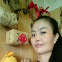杨凤琴