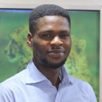 Stephen Kayode Oyedemi