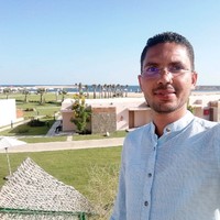 Mahmoud Fadel