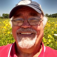 Dale Bowman